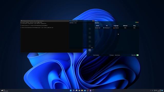 Sorillus v5.1 - Remote Administration Tool | [REMINDER UPDATE] смотреть онлайн