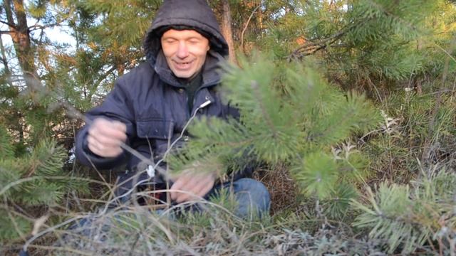 Грибы, названия, описания по книгам, и по жизни в разных областях)) смотреть онлайн