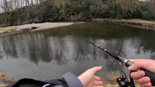 Everyone said Catching This Fish was IMPOSSIBLE... 😯 смотреть онлайн