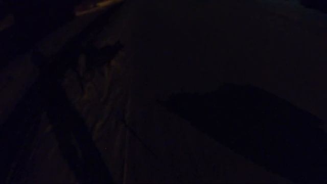 Не гуляй с собакой! Увидишь какой будет результат! Вечерняя прогулка с Мираной и Маей в -15° смотреть онлайн