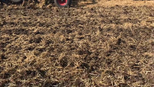 Стерневий обробіток ґрунту культиватором LEMKEN KARAT. Огляд культиватора #LEMKEN #LemkenKarat