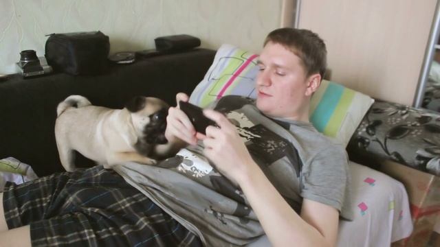 Сэм не разрешает играть на телефоне смотреть онлайн
