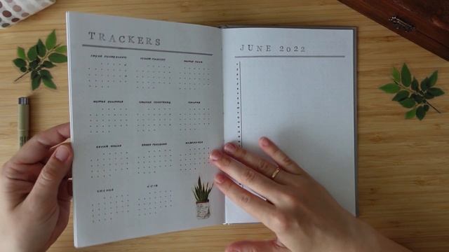 BULLET JOURNAL июнь 2022 | Планирую месяц по целям | Как я веду ежедневник смотреть онлайн