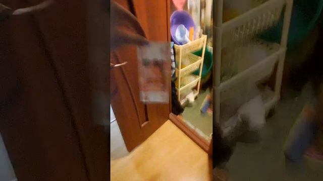 Когда дома без родителей смотреть онлайн