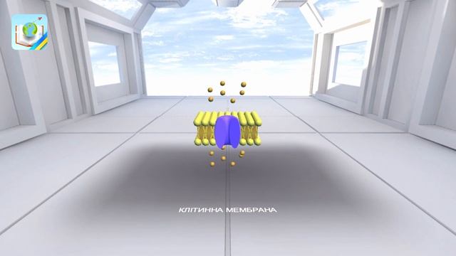 Клітинна мембрана смотреть онлайн