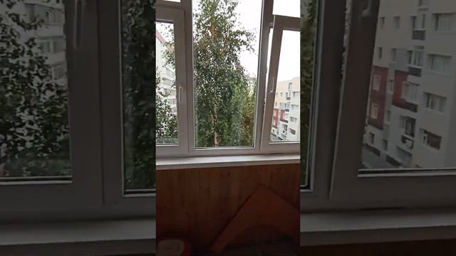 Сургут, ул. Островского 6, 4 ком. смотреть онлайн