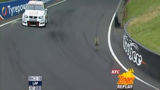 Bathurst vs. Kangaroos смотреть онлайн