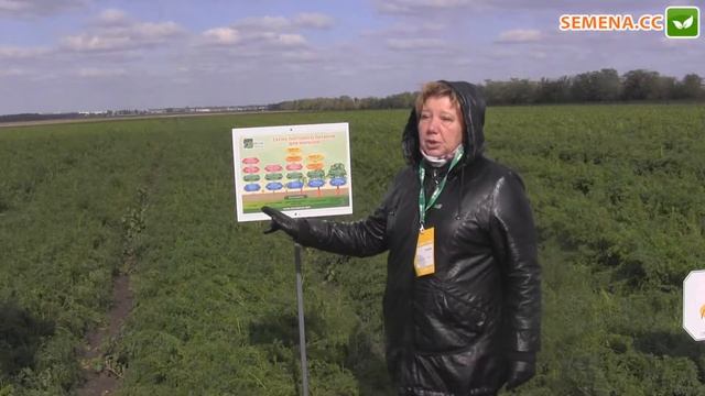 Система питания моркови от компании Terra Tarsa Clause день поля смотреть онлайн