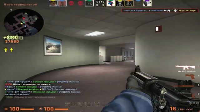 ХОЧУ БАН [CS.GO] смотреть онлайн