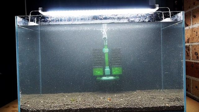 Caridina Shrimp (Crystal Red) Breeding Tank Setup смотреть онлайн