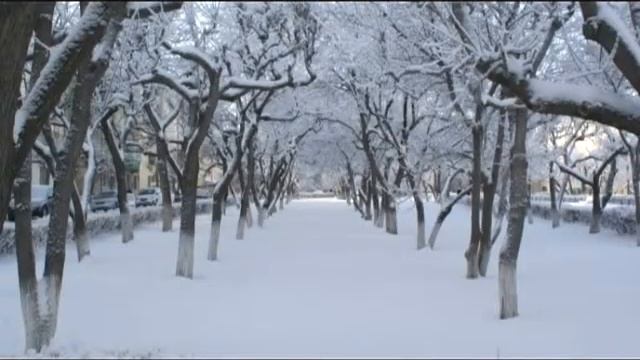 Лови момент (16.12.2015) смотреть онлайн