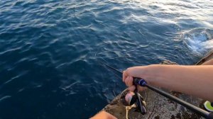 Ловля ставриды на закате на силикон и пилькеры.Рыбалка в Севастополе,парк Победы.