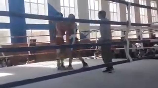 бокс  область  Бухара