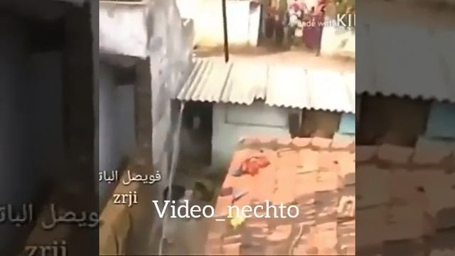 Гепард напал на человека смотреть онлайн