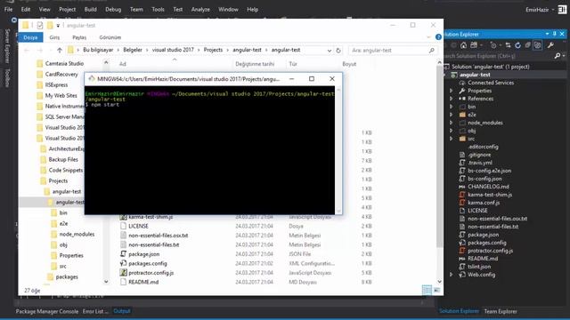 Angular2 in VisualStudio2017 смотреть онлайн