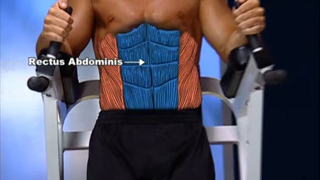 Abdomen (Abs) Home Workout 1 смотреть онлайн