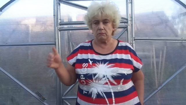 ДЕЗИНФЕКЦИЯ ТЕПЛИЦЫ ОСЕНЬЮ. Ольга Чернова. смотреть онлайн