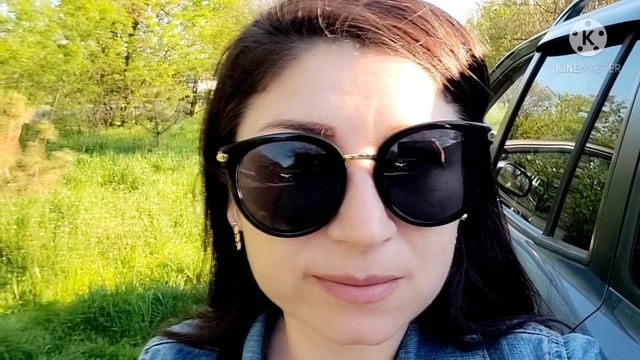 ВЛОГ: Панда заболела?. семена,все для сада и огорода.Поездка за город смотреть онлайн