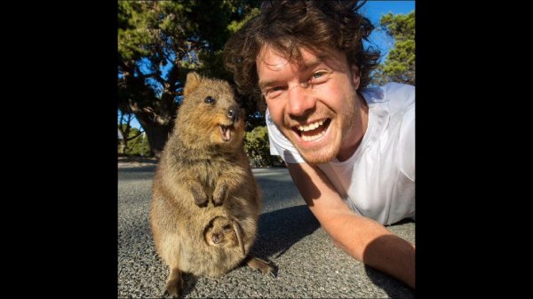 Нужно ли ковыряться в своих грехах, "прорабатывать" недостатки.