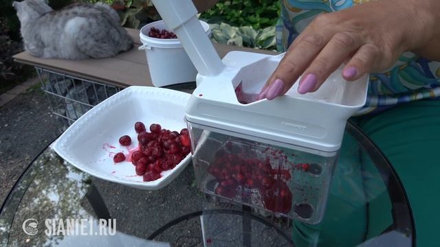 Отделитель косточек вишни смотреть онлайн