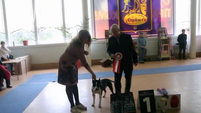 Региональная выставка в Оренбурге. Эксперт Пермяков.27/04/2013 смотреть онлайн