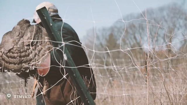 Incredible falconry, dog, man and bird: the Monocular Hunting Video Awards 2017 смотреть онлайн