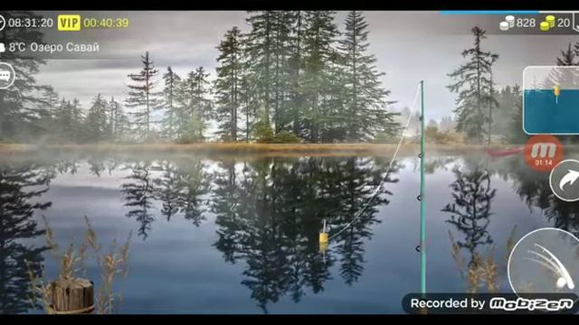играю в my fishing world это #1видео #100 #1k смотреть онлайн