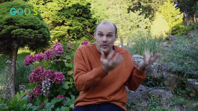 Love Is BEAUTIFUL! | Brother Chris Marriage ❤️ смотреть онлайн