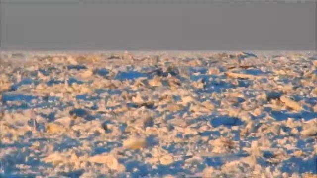 De la glace à perte de vue. смотреть онлайн