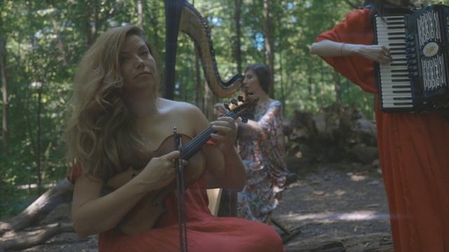 Por Una Cabeza Cover by Cody Geil, Stephanie Babirak and Erica Mancini смотреть онлайн