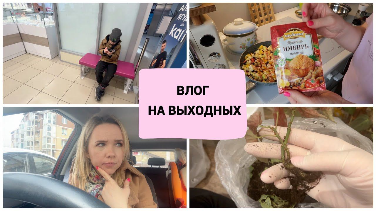 ВЛОГ: стоматолог / вкусные быстрые рецепты / пересадка растений смотреть онлайн