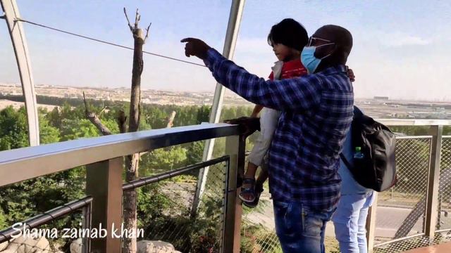 Part 1 Dubai Safari Park | Dubai Zoo | Safari park Tour@Shamazainabkhan смотреть онлайн
