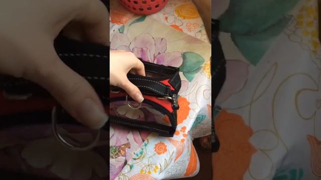 Секреты Творческой Профессиональности