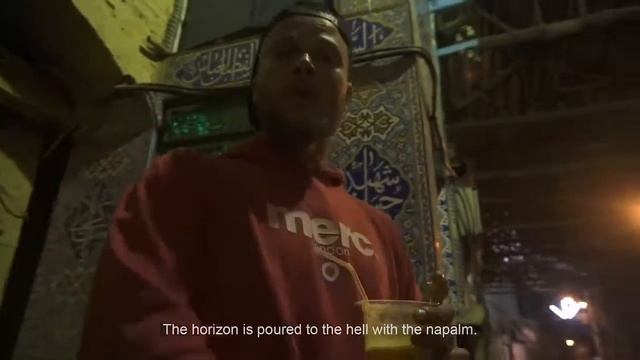 Виды жуков и их разновидности смотреть онлайн