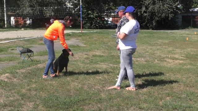 Голобородова Елена и ротвейлер Карина ОКД 5 баллов смотреть онлайн