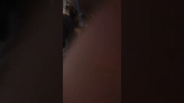 Обзор на самодельную колонку смотреть онлайн