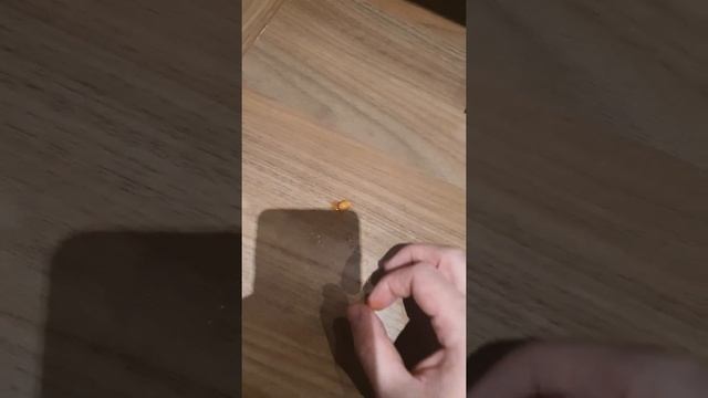 How to flick the bean properly смотреть онлайн