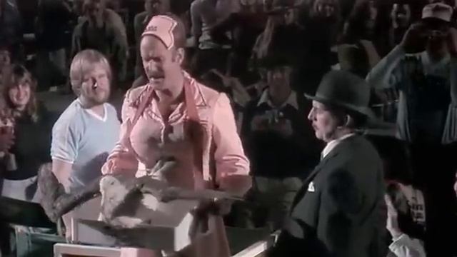 Albatross! (Monty Python, Live at the Hollywood Bowl) смотреть онлайн