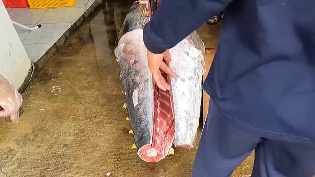 990 Lbs Monster / Amazing skills！Giant bluefin tuna cutting Master/巨大黑鮪魚切割大師 смотреть онлайн
