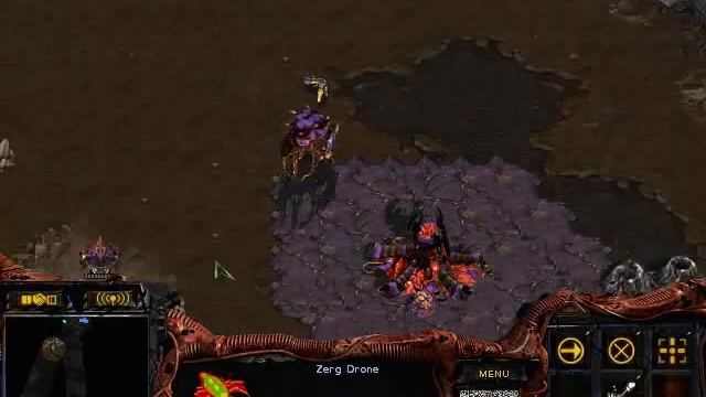 Game 5 ZvP Python смотреть онлайн