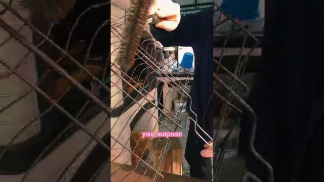 Печник обещал! Печник лайфхакнул! смотреть онлайн