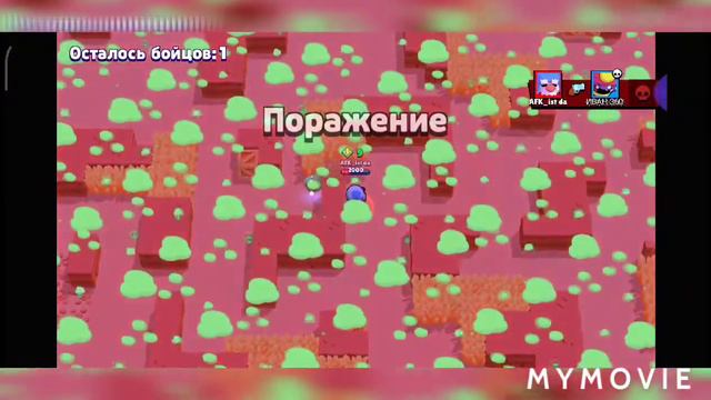 Фан катки с КИВИ TY #3 смотреть онлайн
