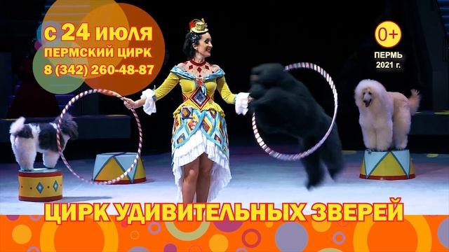 Цирк удивительных зверей смотреть онлайн