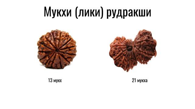 Лики рудракши ~ Мукхи для богатства смотреть онлайн