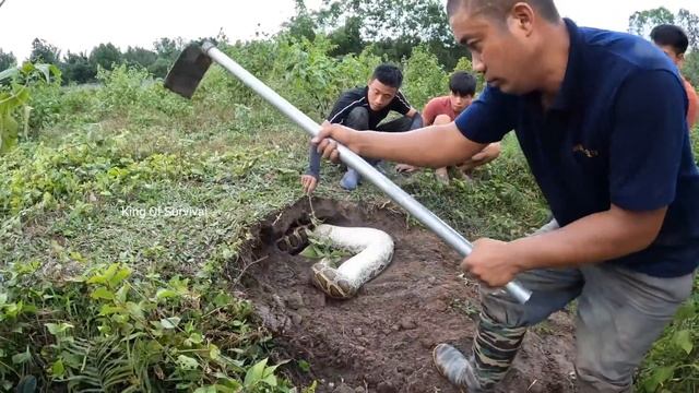 Spider - Man And Brave Hunter Kill Giant Snakes смотреть онлайн