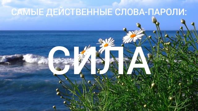 СЛОВА-ПАРОЛИ ДЛЯ ДОСТИЖЕНИЯ ЛЮБЫХ ЦЕЛЕЙ. смотреть онлайн