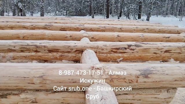 Сруб 11х13 в чашу (часть 1). Башкирский сруб смотреть онлайн