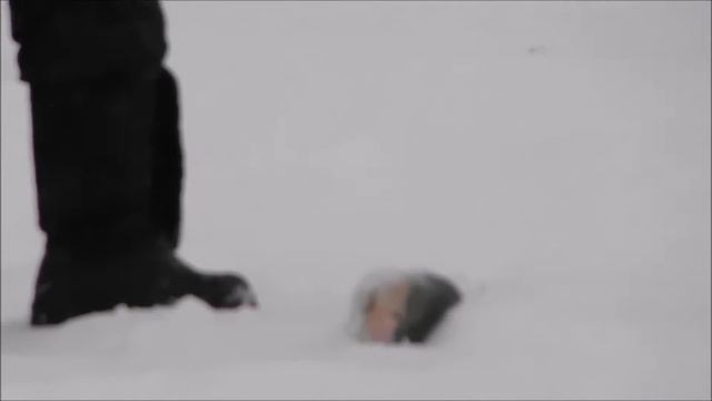 Зимняя рыбалка на квадрате 05 01 2017 смотреть онлайн