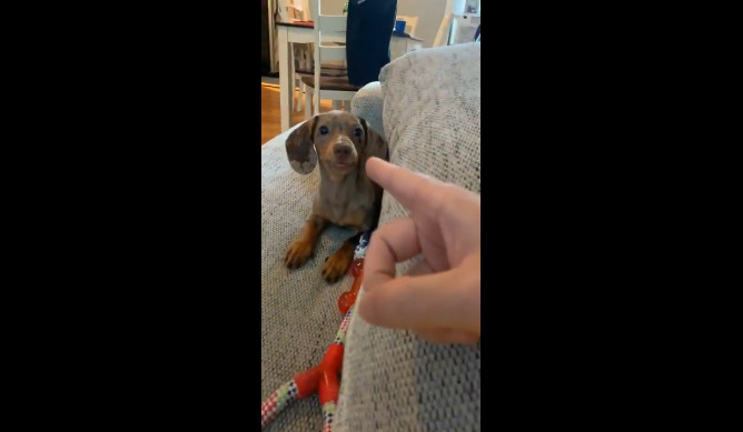 Кусь смотреть онлайн