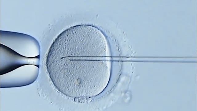 Mediofarm EKO. ЭКО В УЗБЕКИСТАНЕ. ТАШКЕНТ. смотреть онлайн